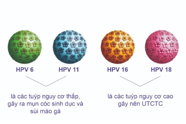 ung thư cổ tử cung do đâu