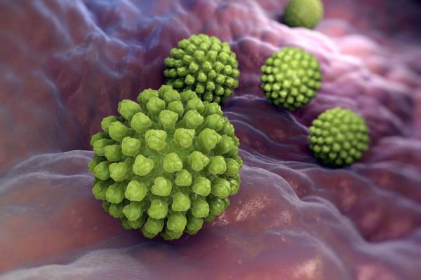 Rotavirus là nguyên nhân hàng đầu dẫn tới tiêu chảy cấp ở trẻ em