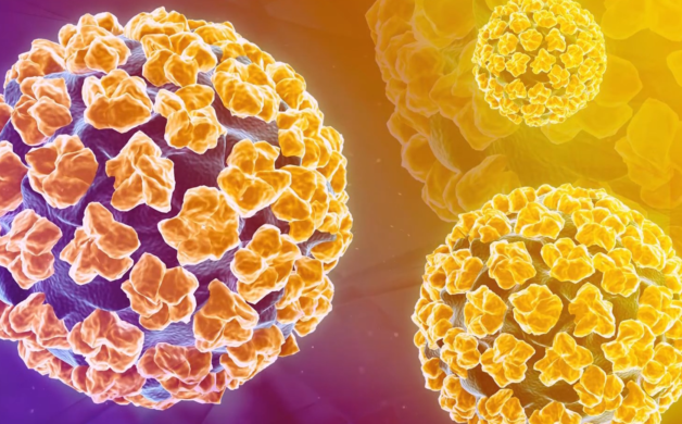 Nguyên nhân khởi phát ung thư cổ tử cung là Human Papillomavirus hay HPV.