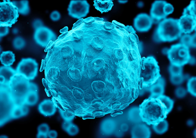 Herpes Simplex Virus gây viêm giác mạc.