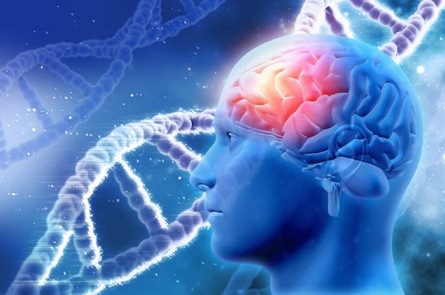 Sa sút trí tuệ tâm thần đều là bệnh lý ở não bộ