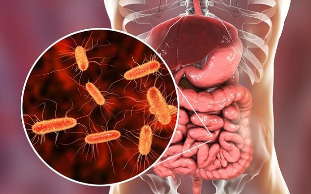 Viêm dạ dày ruột cấp là bệnh lý thường gặp ở hệ tiêu hóa