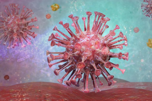 HIV/AIDS là bệnh lây qua đường tình dục nguy hiểm nhất hiện nay và chưa tìm được thuốc điều trị đặc hiệu