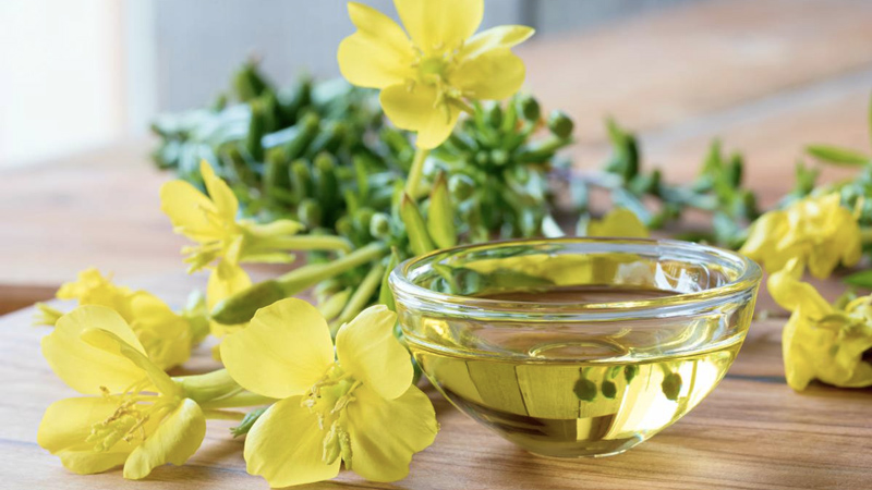 rối loạn kinh nguyệt uống tinh dầu hoa anh thảo