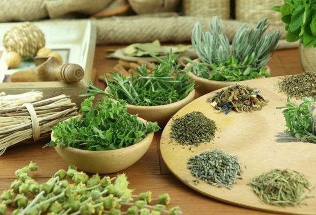 5 loại thảo dược chữa u xơ hiệu quả nhất