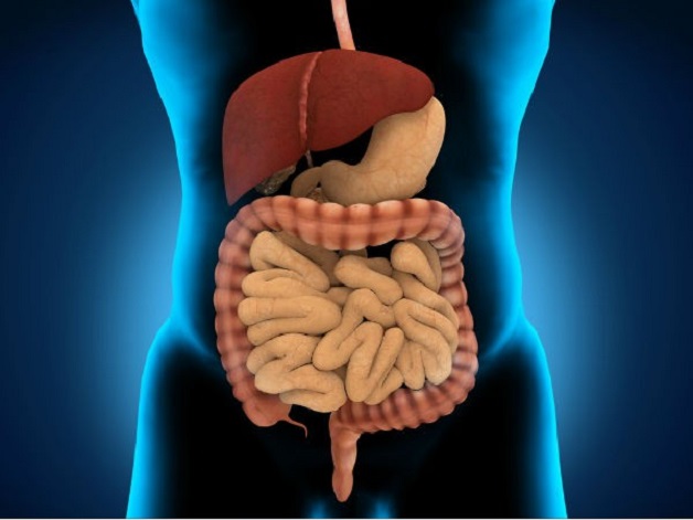 Viêm ruột nhẹ là bệnh lý phổ biến ở hệ tiêu hóa