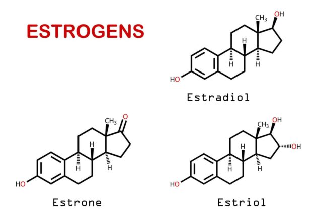 Hormone estrogen là nguyên nhân hàng đầu gây u tuyến vú