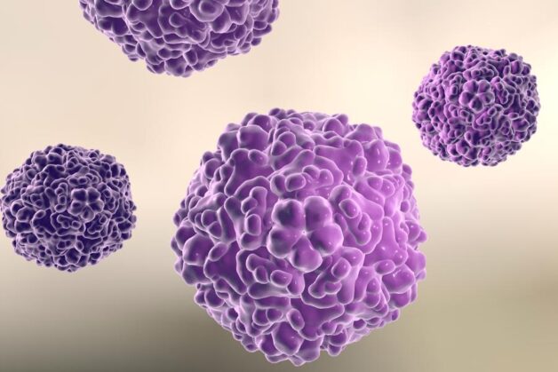 Nguyên nhân gây bệnh truyền nhiễm cấp tính tay chân miệng là virus họ Enterovirus.