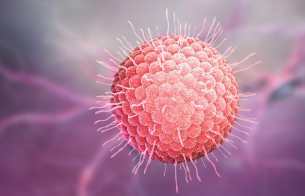 Nguyên nhân bệnh thủy đậu được xác định là virus Varicella-Zoster.