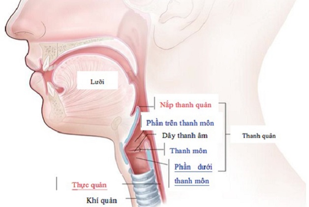 biểu hiện ung thư thanh quản