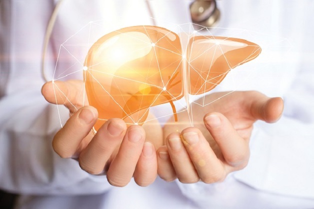 Cách bảo vệ lá gan tránh tác hại của gan nhiễm mỡ