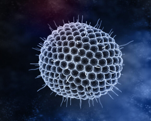 Thủy đậu, tên dân gian là trái rạ, phát sinh do hoạt động của virus Varicella - Zoster.