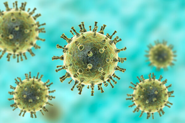 virus thủy đậu