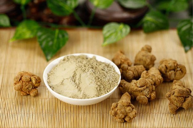 u xơ tử cung uống cây gì để hỗ trợ quá trình điều trị?