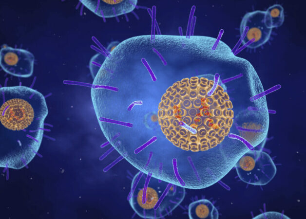 Virus Varicella-Zoster là nguyên nhân phát sinh bệnh truyền nhiễm cấp tính thủy đậu. 