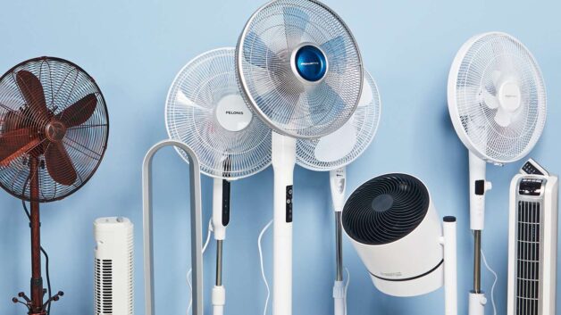 Giải đáp chi tiết thắc mắc: Bị thủy đậu có kiêng gió quạt không?
