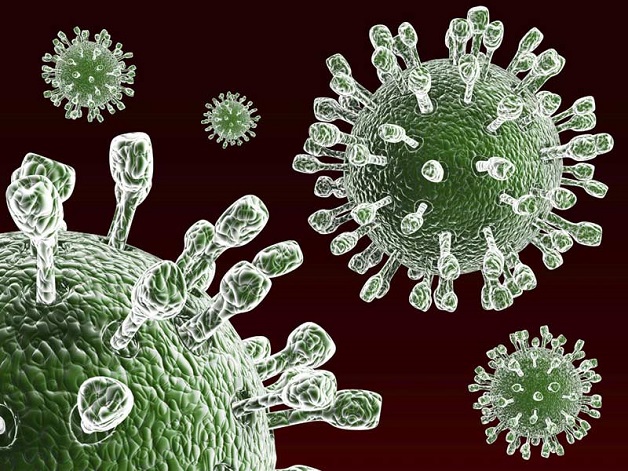 Rota virus