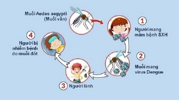 tác hại của sốt xuất huyết rất