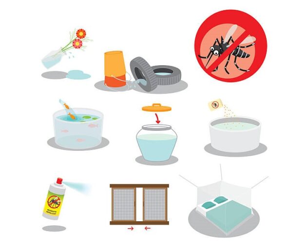 Bệnh sốt xuất huyết và kiến thức phòng tránh