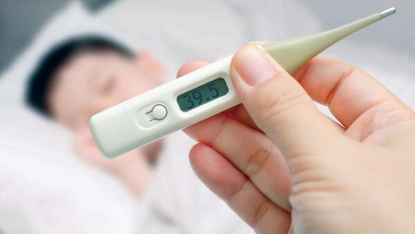 Giai đoạn sốt xuất huyết