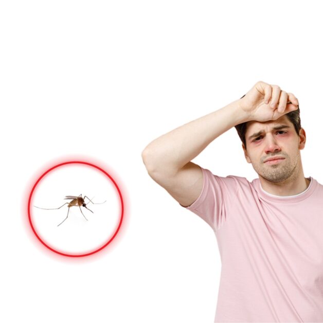 Sốt xuất huyết thể nặng: Dấu hiệu cảnh báo, cách phòng tránh
