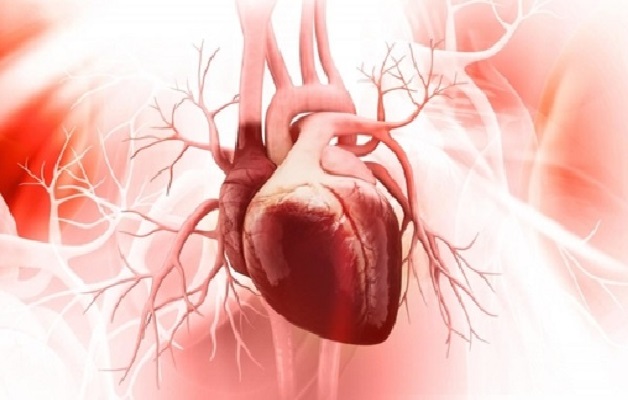 Triệu chứng suy tim cấp gồm khó thở, mệt mỏi, ho liên tục