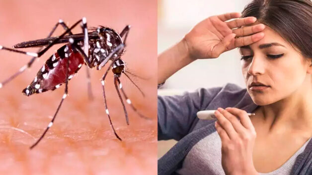 Bệnh sốt xuất huyết và kiến thức phòng tránh