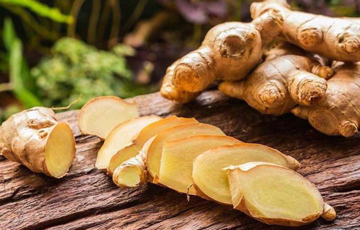 Gừng là vị thuốc Đông y có khả năng trừ phong hàn, tăng cường hệ miễn dịch tự nhiên