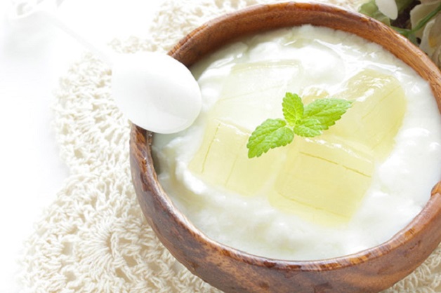 Sữa chua nha đam là món ăn bổ dưỡng cho người bệnh trĩ