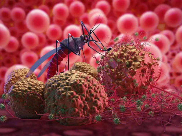 Virus Dengue lại có tới 4 tuýp là DEN-1, DEN-2, DEN-3, DEN-4.
