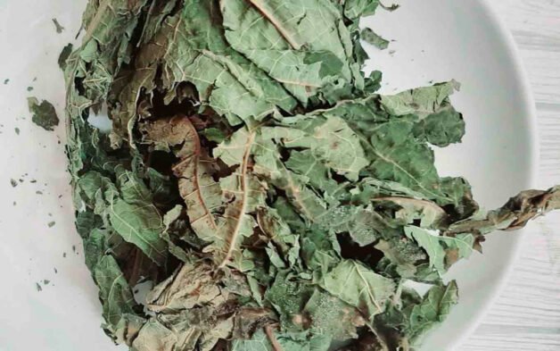 trị ung thư gan bằng lá cây đu đủ