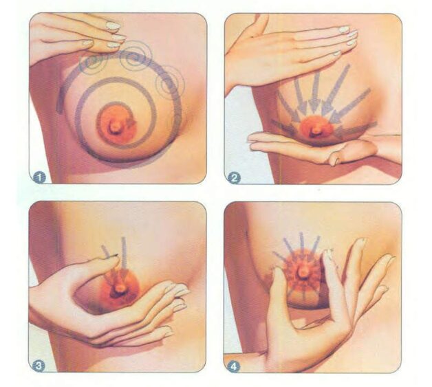 Massage ngực giúp bầu ngực căng tròn hơn