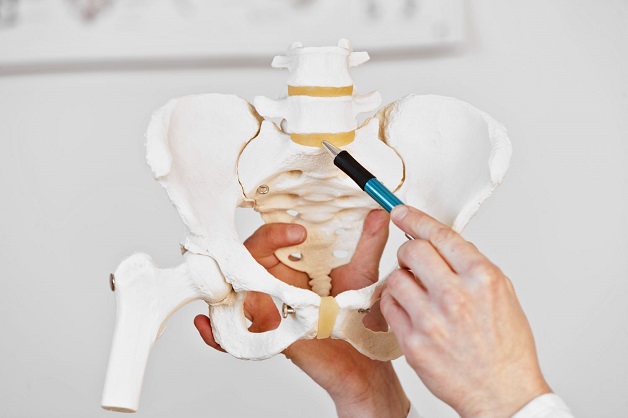 L5 S1 là vị trí nối giữa phần cuối cột sống thắt lưng và đầu đốt sống cùng, rất dễ bị thoát vị.