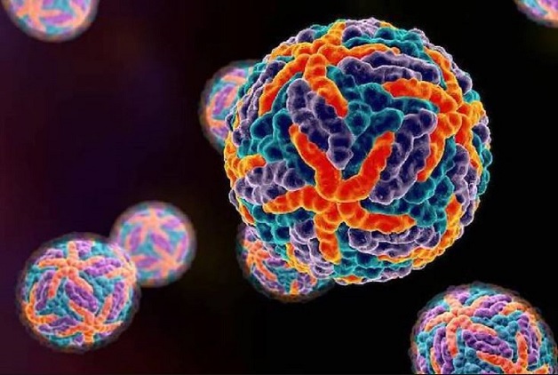 Nguyên nhân gây bệnh sốt xuất huyết Dengue