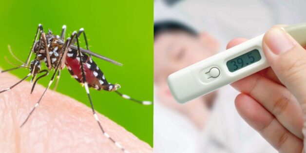 Dấu hiệu sốt xuất huyết ở người lớn