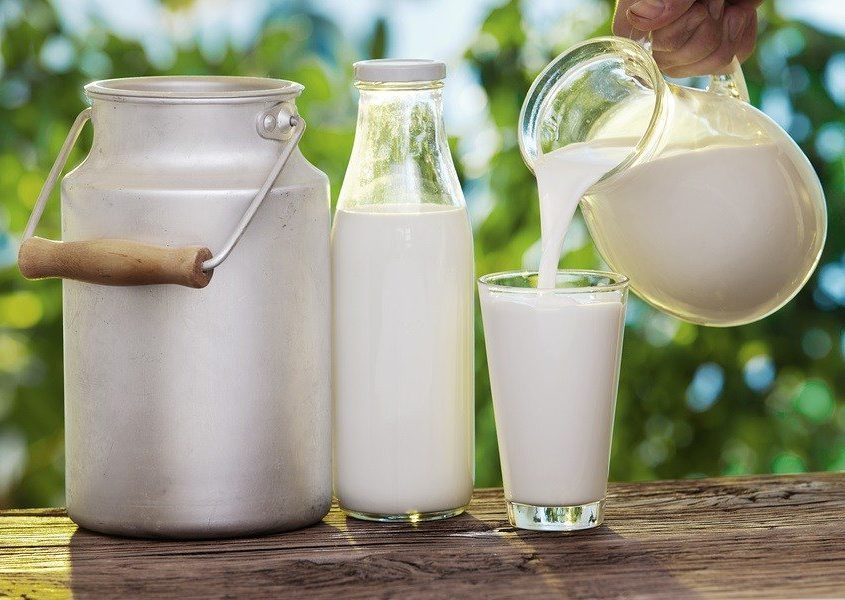 Sữa tươi cung cấp năng lượng cho người bị sốt, khẩu vị kém
