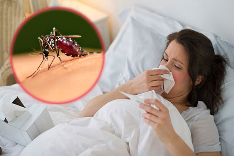 đồ uống giảm triệu chứng sốt xuất huyết cho mẹ bầu