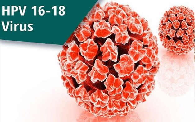 hpv ung thư cổ tử cung