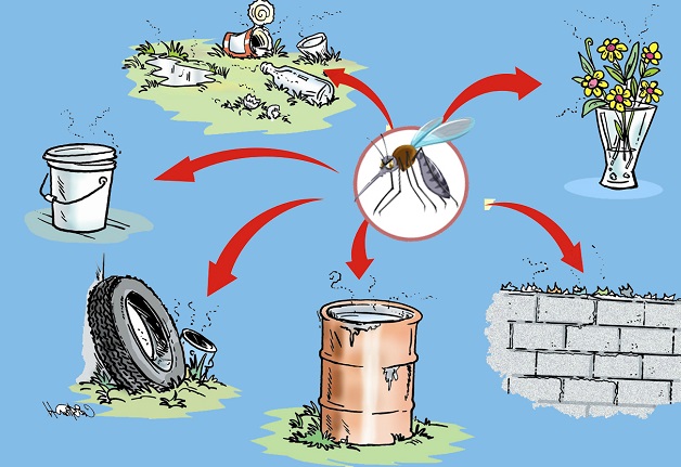 Môi trường sống ô nhiễm là tác nhân gây sốt xuất huyết