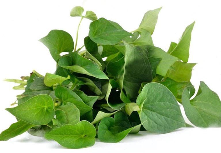 nước rau diếp cá chữa đau mắt đỏ cho bà bầu