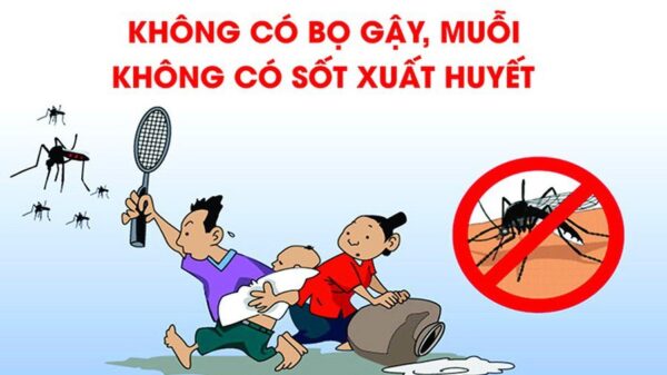 Phòng ngừa bệnh sốt xuất huyết, tránh gây ngứa