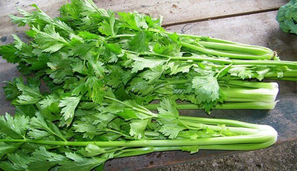 Trào ngược dạ dày nên ăn rau gì