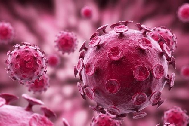 virus hpv