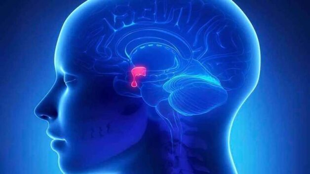 Các vấn đề tuyến yên có thể gây suy giáp