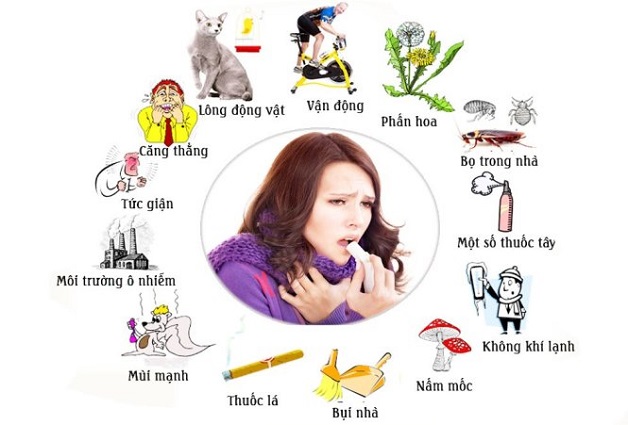 Nguyên nhân gây hen phế quản