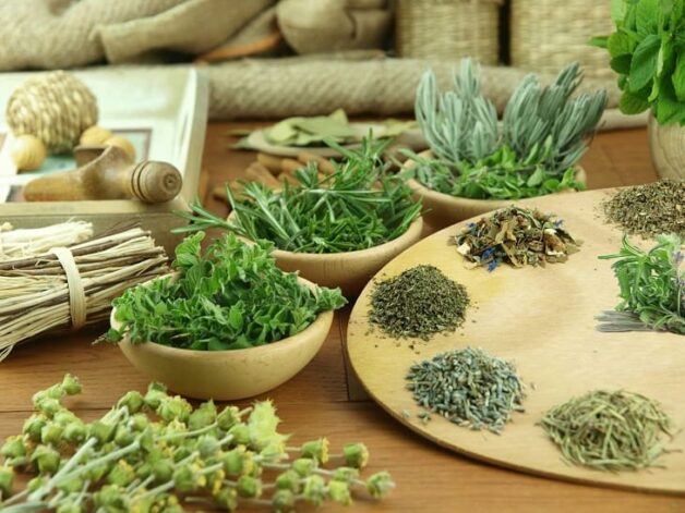 Hiện vẫn lưu truyền nhiều cách chữa thủy đậu dân gian