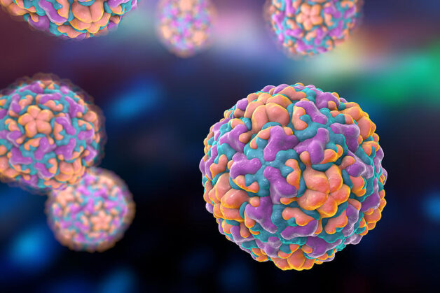 Có nhiều virus có thể gây cảm lạnh, tuy nhiên, Rhinovirus vẫn là virus gây cảm lạnh phổ biến nhất.