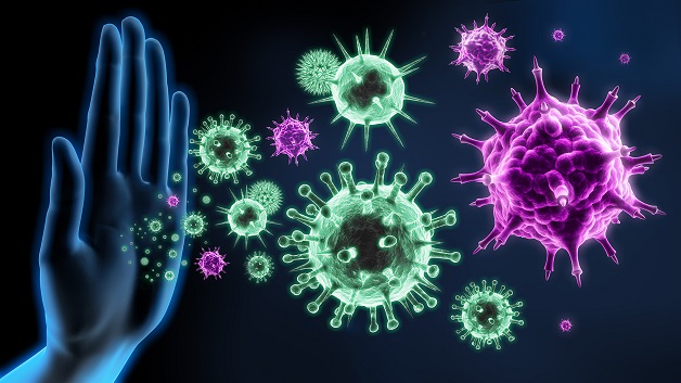 Bệnh cúm A/H5N1 lây lan như thế nào?