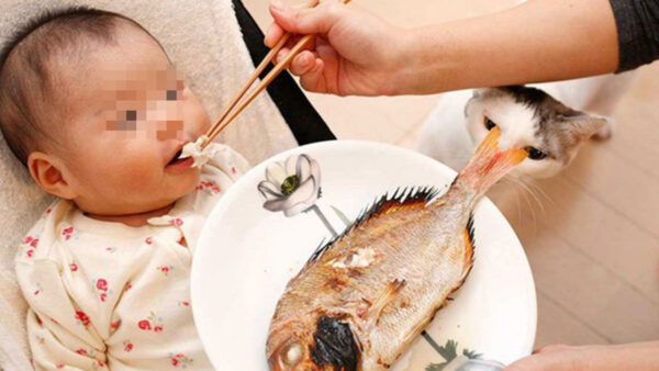 Những điều không được làm khi hóc xương cá ở trẻ em