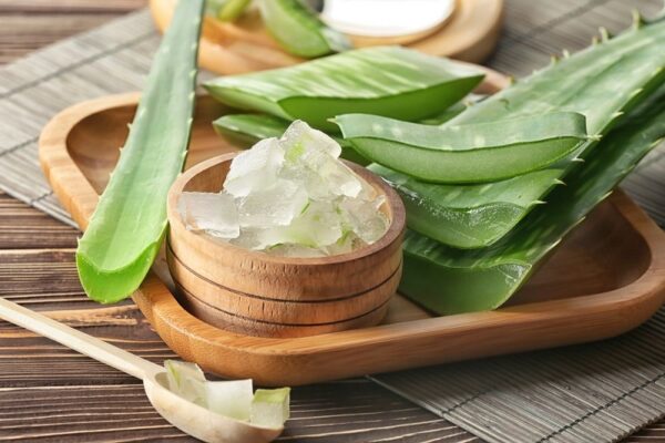 Sử dụng hỗn hợp lô hội và glycerine
